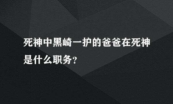 死神中黑崎一护的爸爸在死神是什么职务？