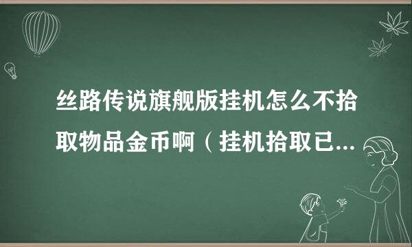 丝路传说旗舰版挂机怎么不拾取物品金币啊（挂机拾取已设置）可以的发个图看看啊