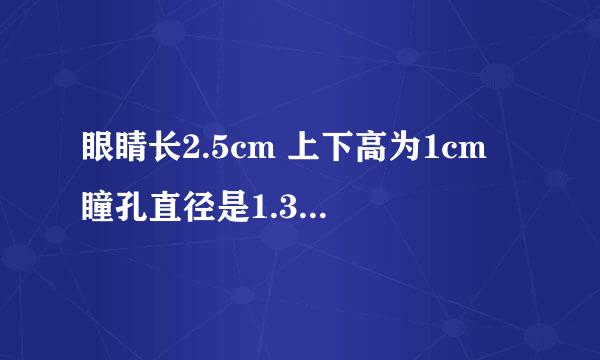 眼睛长2.5cm 上下高为1cm 瞳孔直径是1.3cm，请问戴直径多少的美瞳较合适 拿卷尺简单测的，能戴大蜜糖吗？