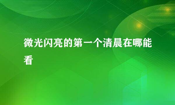 微光闪亮的第一个清晨在哪能看