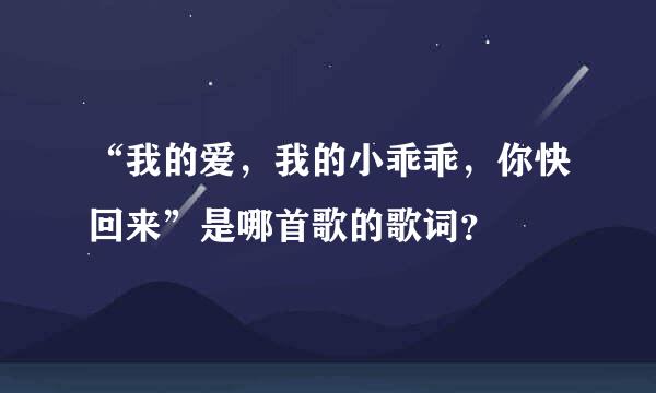 “我的爱，我的小乖乖，你快回来”是哪首歌的歌词？