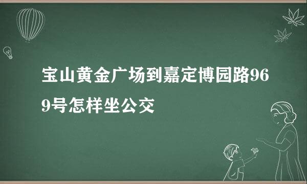 宝山黄金广场到嘉定博园路969号怎样坐公交