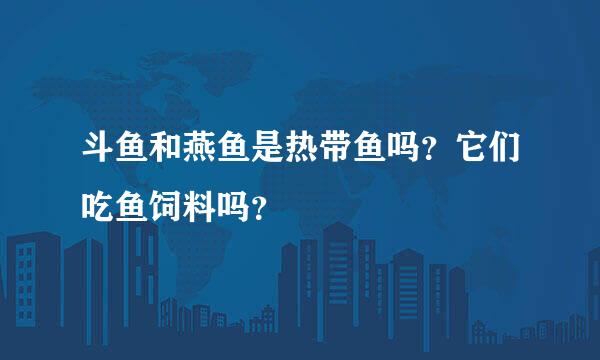 斗鱼和燕鱼是热带鱼吗？它们吃鱼饲料吗？