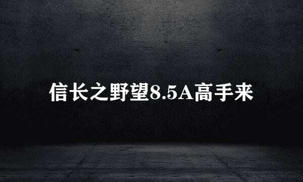 信长之野望8.5A高手来