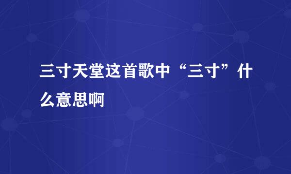 三寸天堂这首歌中“三寸”什么意思啊