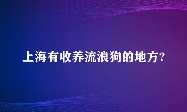 上海有收养流浪狗的地方?