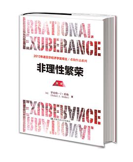 《非理性繁荣（第二版）希勒作品系列》epub下载在线阅读，求百度网盘云资源