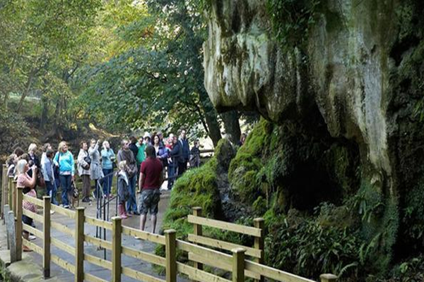 英国有一口井非常神奇，任何生物一靠近为什么就会石化？