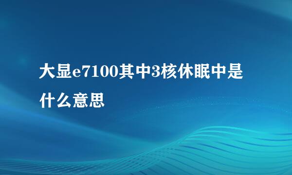 大显e7100其中3核休眠中是什么意思