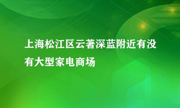 上海松江区云著深蓝附近有没有大型家电商场