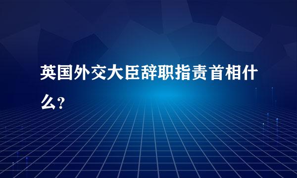 英国外交大臣辞职指责首相什么？