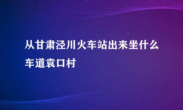 从甘肃泾川火车站出来坐什么车道袁口村