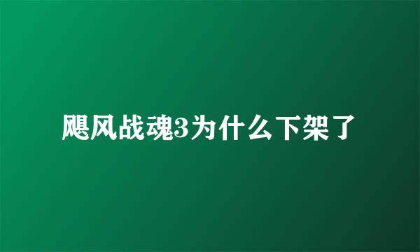 飓风战魂3为什么下架了