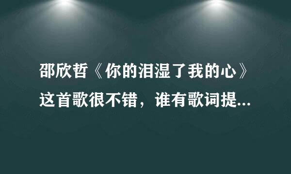 邵欣哲《你的泪湿了我的心》这首歌很不错，谁有歌词提供我下，谢谢!