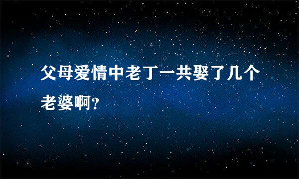 父母爱情中老丁一共娶了几个老婆啊？