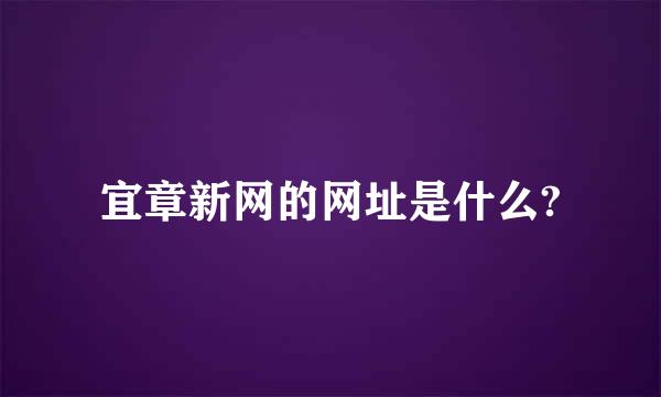 宜章新网的网址是什么?