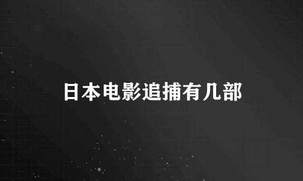 日本电影追捕有几部