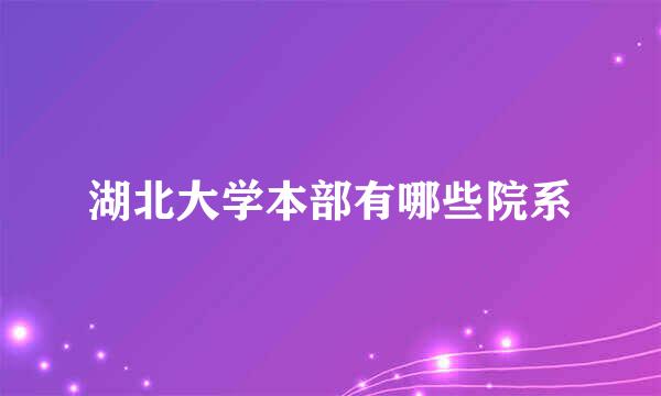 湖北大学本部有哪些院系