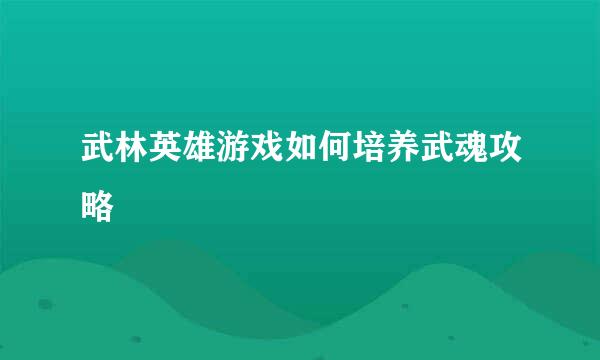 武林英雄游戏如何培养武魂攻略