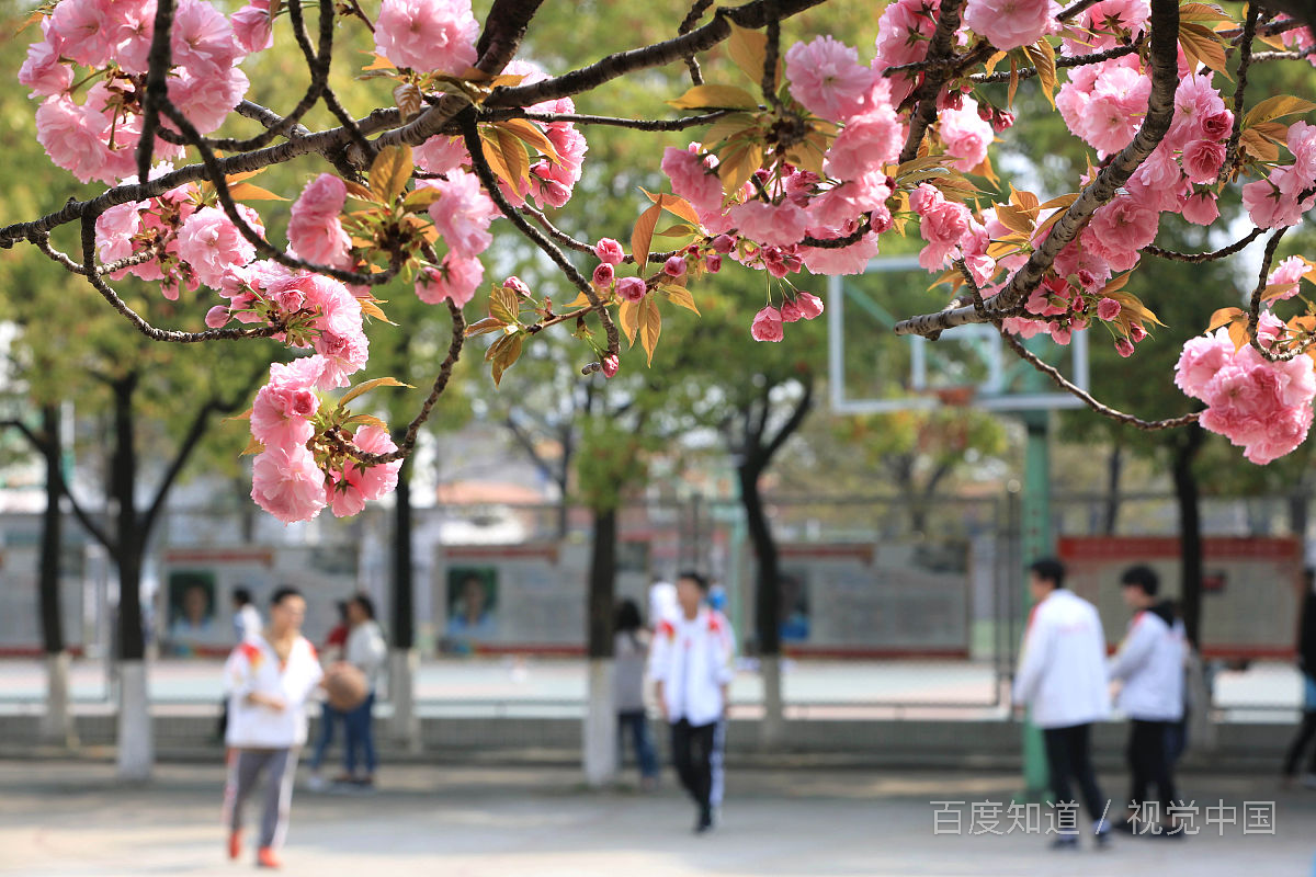 进入大学后，应该如何度过大学生活？