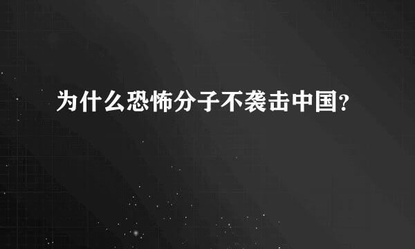 为什么恐怖分子不袭击中国？