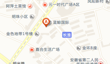 合肥市胜利路琅琊山路交叉口蓝鲸国际大厦在哪