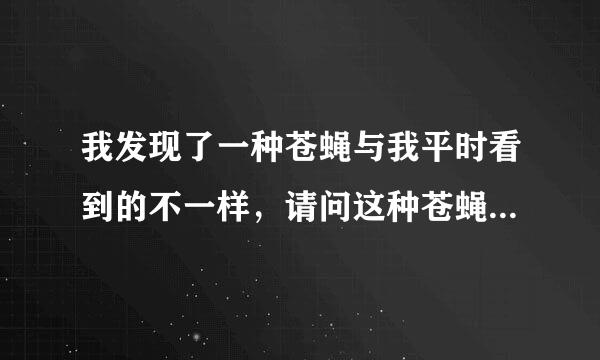 我发现了一种苍蝇与我平时看到的不一样，请问这种苍蝇的学名是什么？