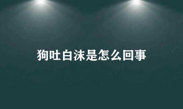 狗吐白沫是怎么回事