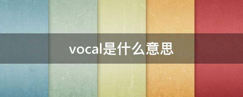 vocal是什么意思