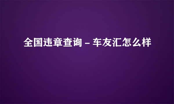 全国违章查询－车友汇怎么样