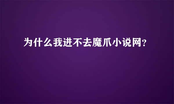 为什么我进不去魔爪小说网？