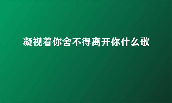 凝视着你舍不得离开你什么歌