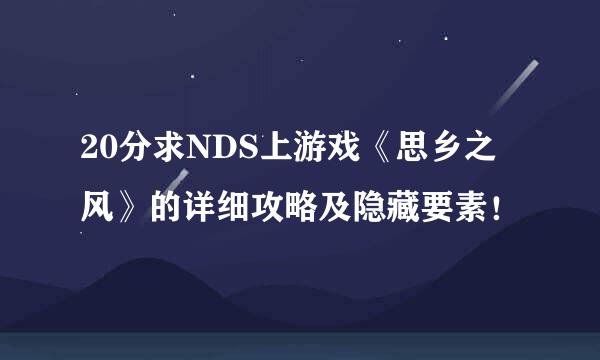 20分求NDS上游戏《思乡之风》的详细攻略及隐藏要素！