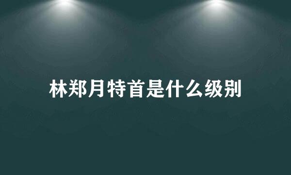 林郑月特首是什么级别