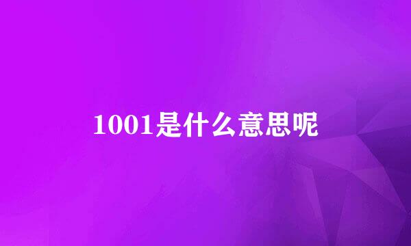 1001是什么意思呢