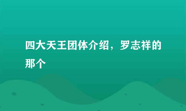 四大天王团体介绍，罗志祥的那个