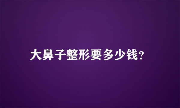 大鼻子整形要多少钱？