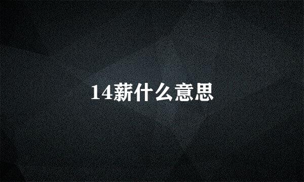 14薪什么意思