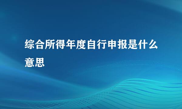 综合所得年度自行申报是什么意思