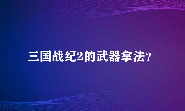 三国战纪2的武器拿法？