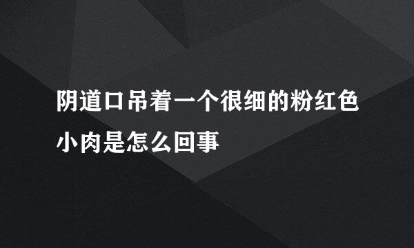 阴道口吊着一个很细的粉红色小肉是怎么回事