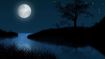 从此再黑再黑的夜晚,我也能看见小鸟怎样在月光下睡觉.类似的句子