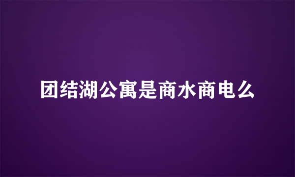 团结湖公寓是商水商电么