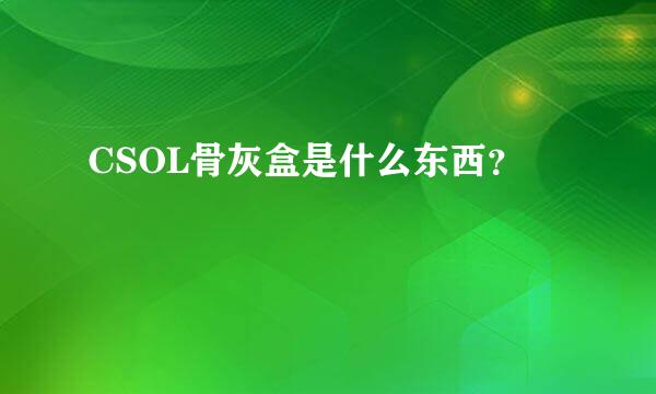 CSOL骨灰盒是什么东西？