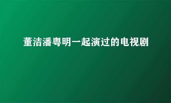 董洁潘粤明一起演过的电视剧