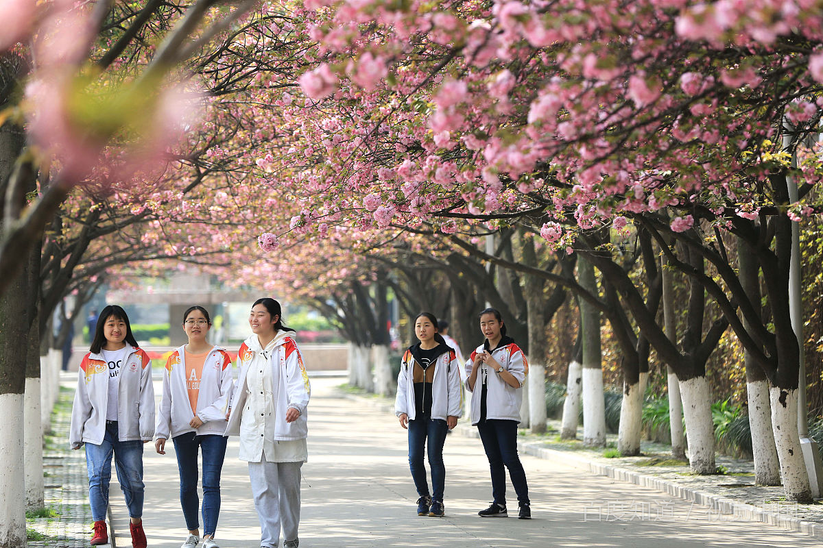 进入大学后，应该如何度过大学生活？