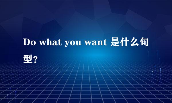 Do what you want 是什么句型？