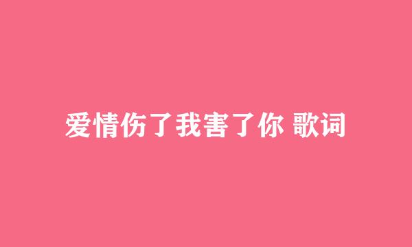 爱情伤了我害了你 歌词