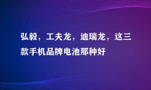 弘毅，工夫龙，迪瑞龙，这三款手机品牌电池那种好