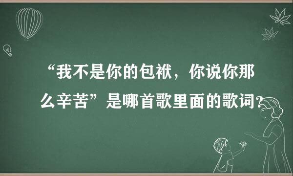 “我不是你的包袱，你说你那么辛苦”是哪首歌里面的歌词？